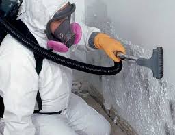 Why You Should Choose Our Mold Remediation Services in Placeholder9